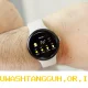 Wear OS Terbaru Hadirkan Fitur Cek Cuaca Akurat Langsung dari Perangkat Jam Tangan Anda