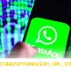 WhatsApp Bakal Hadirkan Fitur Username untuk Chatting Tanpa Harus Simpan Nomor Telepon Terlebih Dahulu