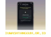 WhatsApp Gelar Uji Coba Fitur Guest Chats untuk Kirim Pesan Tanpa Akun Permanen