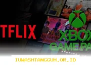 Xbox Game Pass dan Netflix Akan Digabung dalam Paket Layanan Premium untuk Pengguna Global