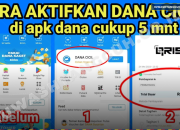 DANA Cicil Tidak Muncul? Ini Penyebab dan Cara Mengaktifkannya di 2026