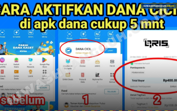 DANA Cicil Tidak Muncul? Ini Penyebab dan Cara Mengaktifkannya di 2026