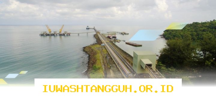Adaro Perkuat Komitmen Berkelanjutan dengan Fokus pada 3 Pilar Utama Operasional Tahun 2026