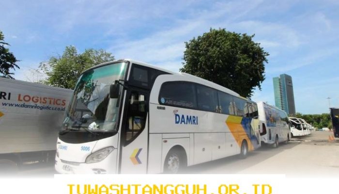 Akses Wisata ke Badui Kini Lebih Hemat dengan Tarif 1 Rupiah Menggunakan Bus Damri 2026