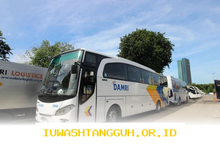 Akses Wisata ke Badui Kini Lebih Hemat dengan Tarif 1 Rupiah Menggunakan Bus Damri 2026
