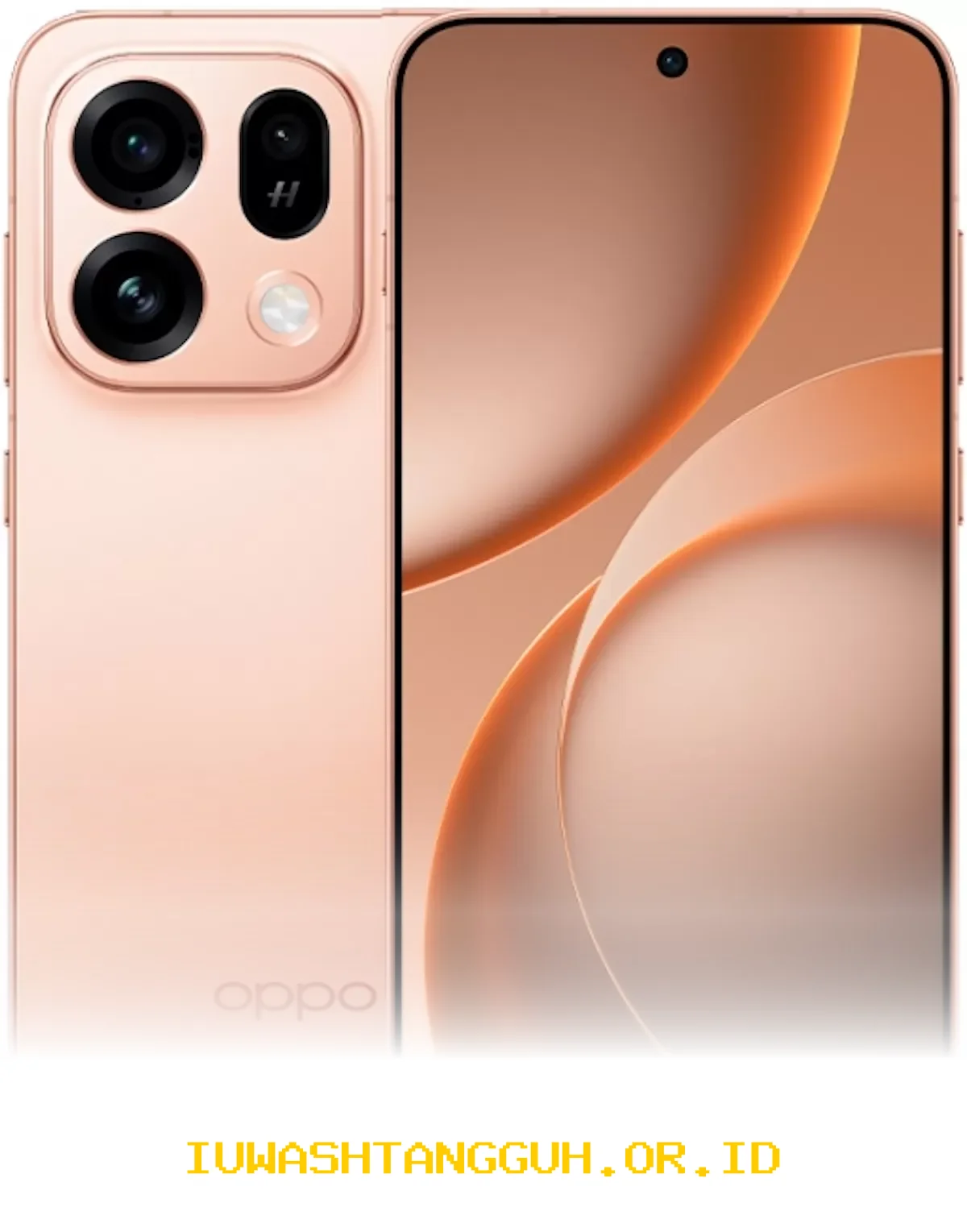 Analisis mendalam mengenai 8 aspek utama Oppo Find X9s yang wajib diketahui tahun 2026