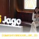 Aplikasi Bank Jago (ARTO) Catat 15,2 Juta Pengguna Aktif dan Lonjakan Transaksi Investasi Hingga 38,2% pada 2026