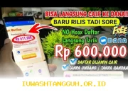 Aplikasi Penghasil Uang Terbaik 2026 yang Dapat Membayar dengan Lancar dan Aman