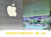 Apple Umumkan Pembaruan Penting untuk Perangkat iPhone dan iPad pada Tahun 2026 Ini Detailnya