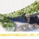 Arsitektur Berkelanjutan dan Inovasi Desain Ramah Lingkungan Menuju Tahun 2026