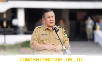 ASN Riau Terima Peringatan Gubernur Soal Laporan Harta Kekayaan Wajib atau Hadapi Sanksi