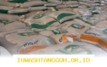 Badan Pangan Nasional Waspadai Dampak Lonjakan Harga Plastik terhadap Stabilitas Harga Beras dan Gula Tahun 2026