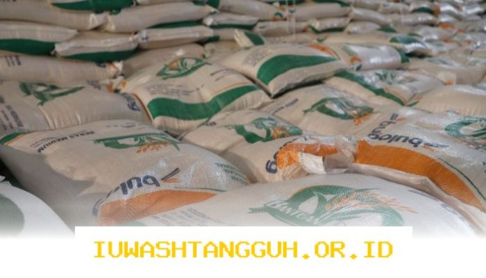 Badan Pangan Nasional Waspadai Dampak Lonjakan Harga Plastik terhadap Stabilitas Harga Beras dan Gula Tahun 2026