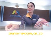 Bank Mega Sebut 3 Faktor Dorong Pertumbuhan Kredit di Awal 2026