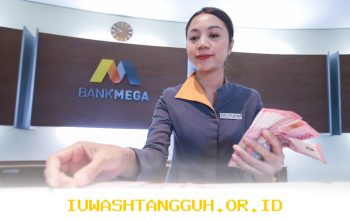 Bank Mega Sebut 3 Faktor Dorong Pertumbuhan Kredit di Awal 2026