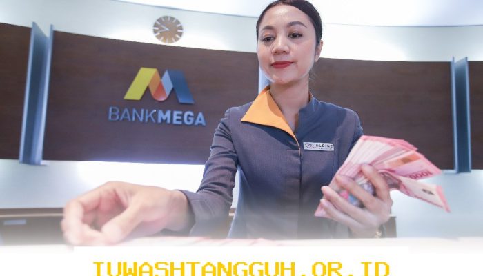 Bank Mega Sebut 3 Faktor Dorong Pertumbuhan Kredit di Awal 2026