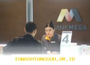 Bank Mega Yakin Layanan Garansi Bank Akan Naik 15 Persen Pada 2026 Ini