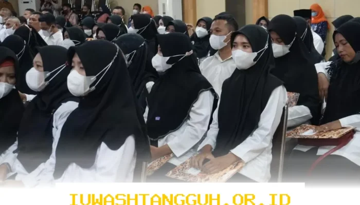 BKN Memberikan Penjelasan Resmi Mengenai Status Kepegawaian PPPK yang Perlu Diketahui