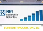 BRI Danareksa Raih Kenaikan Laba Operasional Hingga 200 Persen di Tahun 2026