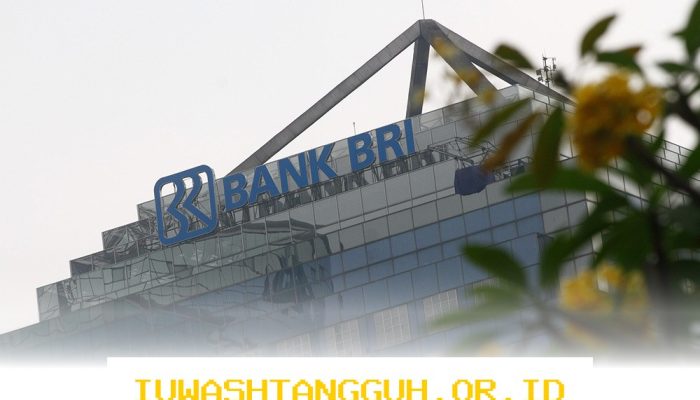 BRI Lepas Saham PNM IM kepada Danantara dengan Nilai Transaksi Sebesar Rp345 Miliar pada 2026