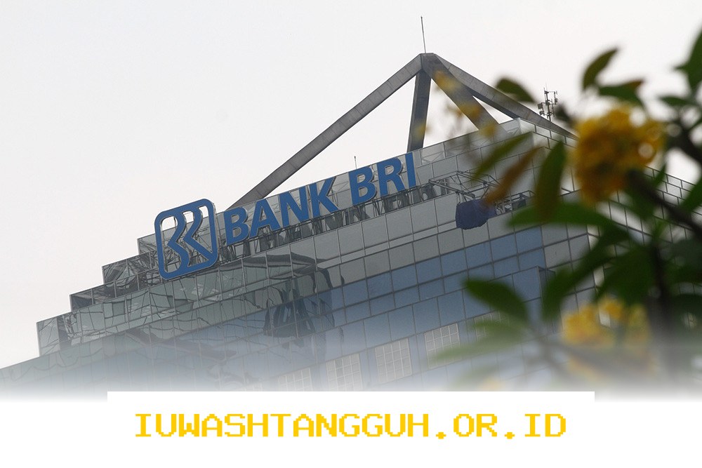 BRI Lepas Saham PNM Investment Management ke Danantara dengan Nilai Transaksi Capai Rp345 Miliar Tahun 2026