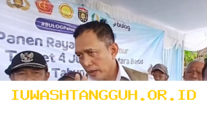 Bulog Bangun 100 Gudang Baru demi Serap 4 Juta Ton Gabah Petani 2026
