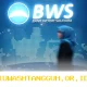 BWS Teken MoU Baru dengan TNI demi Tingkatkan Layanan Perbankan untuk Institusi pada 2026
