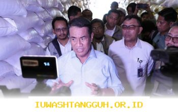 Cadangan Beras Nasional Capai 4,5 Juta Ton pada 2026, Catatkan Rekor Tertinggi Sepanjang Masa