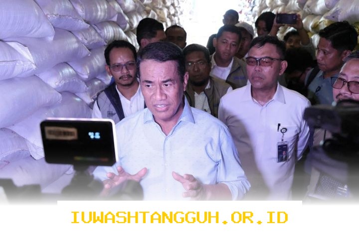 Cadangan Beras Nasional Capai 4,5 Juta Ton pada 2026, Catatkan Rekor Tertinggi Sepanjang Masa