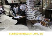 Cadangan Beras Nasional Tembus 15 Juta Ton pada 2026, Capai Rekor Tertinggi Sepanjang Masa