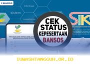 Cara Mudah Cek Status Penerima Bansos 2026 Secara Online Tanpa Perlu Ribet Antre Lagi