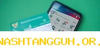 Cara Praktis Cek Status Kepesertaan BPJS Kesehatan 2026 Via WhatsApp dan Mobile JKN 2026