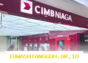 CIMB Niaga Siapkan Dividen Tunai Sebesar Rp 4,07 Triliun pada Tahun 2026 Mendatang