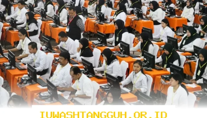 CPNS 2026 Akan Dibuka, Pemprov Kalsel Ajukan Ratusan Formasi Baru ke KemenPANRB, Persiapan Calon Pelamar Harus Dimulai Sekarang!