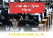 Daerah Buru-buru Selesaikan Formasi CPNS 2026 Jelang Pengumuman Resmi Penerimaan