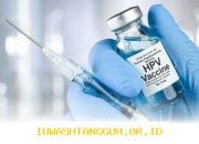 Daftar Harga Terbaru Vaksin HPV Untuk Dewasa Dan Anak 2026