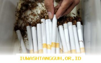 Dampak Aturan Baru Industri Rokok Tahun 2026 Bagi Kelangsungan 5 Sektor Bisnis Utama