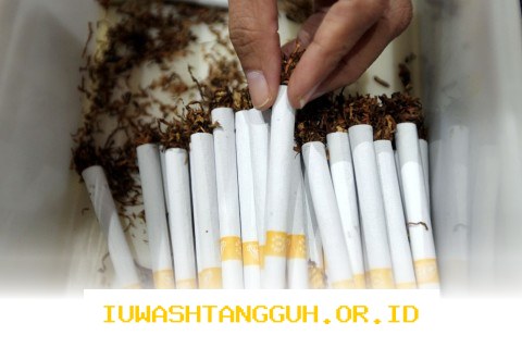 Dampak Aturan Baru Industri Rokok Tahun 2026 Bagi Kelangsungan 5 Sektor Bisnis Utama