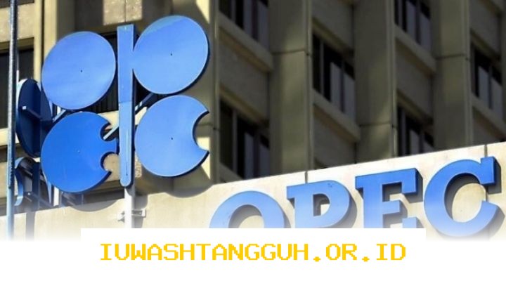Dampak Keputusan UEA Keluar dari OPEC pada 2026 Bagi Stabilitas Minyak Dunia Saat Ini