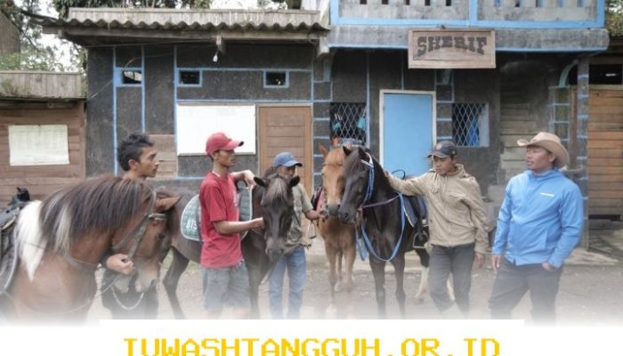 Desa Tugu Selatan Hadirkan Kampung Tematik Berbasis Budaya Lokal Menuju Desa Maju Melalui Program BRILiaN