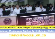 Formasi CPNS 2026 dengan Gaji Tinggi Sampai Rp11,5 Juta per Bulan untuk Lulusan S1 Terbaru