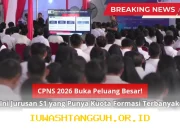 Formasi CPNS 2026 Resmi Diumumkan, Ini Daftar Jurusan S1 dengan Kuota Paling Banyak Terbuka untuk Umum
