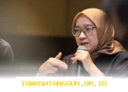 Formasi CPNS 2026 Resmi Diumumkan oleh Menpan RB, Simak Langkah Mudah Cek Kuota dan Lowongan Terbaru!