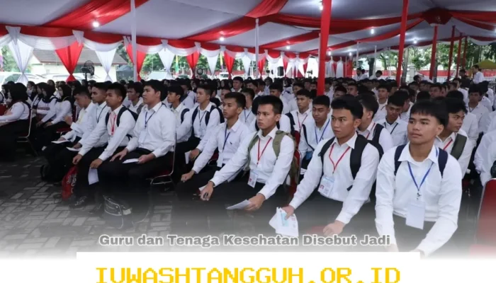 Formasi CPNS 2026 Resmi Diumumkan, Ribuan Lowongan untuk Guru dan Tenaga Kesehatan Jadi Fokus Utama Pemerintah