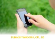 Game Terbaik 2026 yang Bisa Dimainkan untuk Cuan Uang Asli Tanpa Modal Besar dan Mudah Dijual Online
