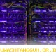 Google Siapkan Dana Segar 40 Miliar Dolar untuk Perkuat Dominasi AI di Anthropic 2026