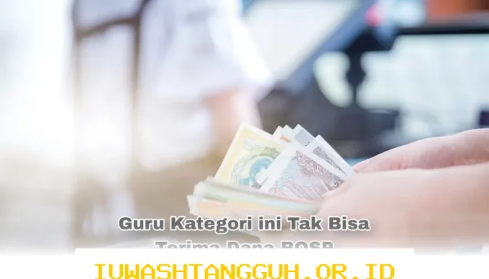 Guru Honorer BOSP Tahun 2026 Ini 5 Kategori yang Tidak Mendapat Tunjangan Dana BOS, Simak Penjelasannya