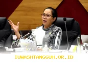 Guru Honorer dan PPPK Hadapi Ketidakpastian Anggaran 2026, Siapa yang Akan Diprioritaskan? DPR Siap Respons