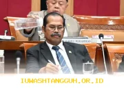 Guru Honorer Tak Kunjung Diangkat Jadi Pegawai Negeri, Mutu Pendidikan RI Makin Terpuruk di Tahun 2026