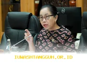 Guru Honorer Tanpa Kesejahteraan Sejak 2026, PPPK Baru Nikmati Perlindungan Hukum?